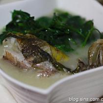 昂子魚菊花葉湯的做法