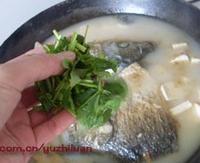 魚頭豆腐湯的做法圖解15