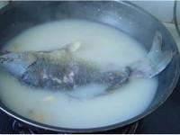 奶白鮮魚湯的做法圖解6