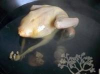 胡椒根鴿子湯的做法圖解1