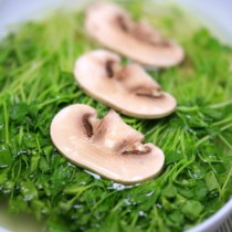 豆苗蘑菇湯的做法