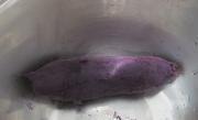 紫薯玫瑰花饅頭的做法圖解1