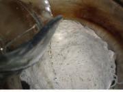 涼拌米粉的做法圖解6