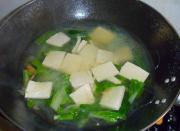 白菜粉絲豆腐湯的做法圖解7