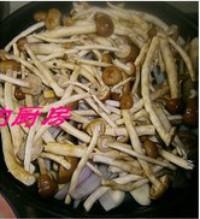 茶樹菇乾鍋雞的做法圖解6