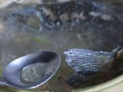 沙鍋鯽魚蠶豆湯的做法圖解5
