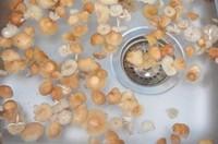 法式小蘑菇湯的做法圖解2
