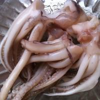 韓式魷魚須的做法圖解1