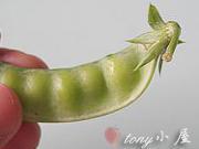 軟莢豌豆炒春筍的做法圖解2
