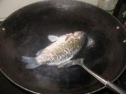鯽魚芫荽豆腐湯的做法圖解3