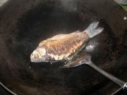 鯽魚芫荽豆腐湯的做法圖解4