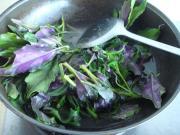 涼拌紫背菜的做法圖解3