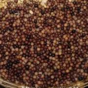 四川豌豆豆豉的做法圖解4