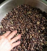 四川豌豆豆豉的做法圖解7