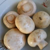 鮮菇魚湯的做法圖解2