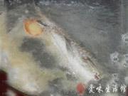 鯽魚豆腐湯的做法圖解4