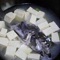 黑鮶魚豆腐湯的做法圖解7
