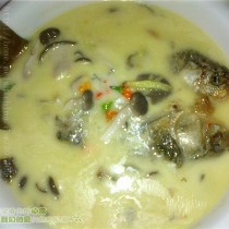 鯽魚蘑菇湯的做法