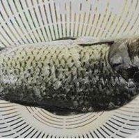 千島湖鯽魚湯的做法圖解1