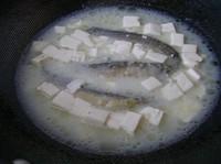 泥鰍豆腐湯的做法圖解8