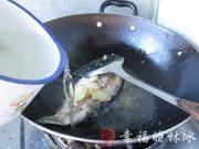白蘿卜絲鯽魚湯的做法圖解4